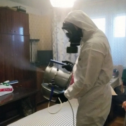 Дезинфекция от клопов в Полысаево