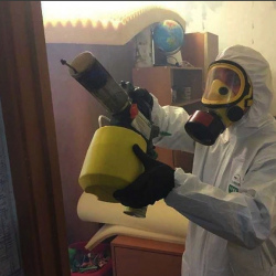 Уничтожение клопов в квартире. Полысаево